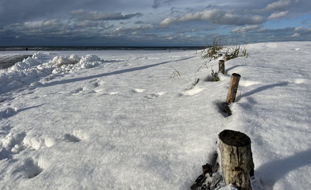 a beach covered in snow with a tree stump in the foreground