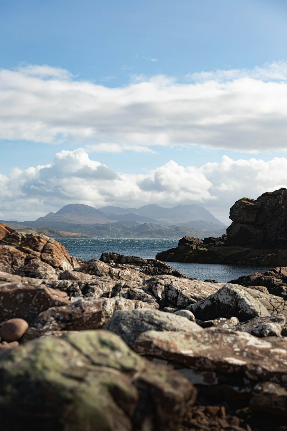 a person standing on a rocky shore with a surfboard