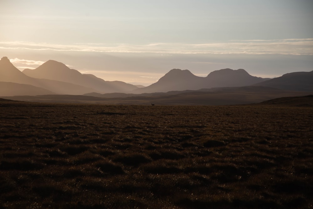 a field with mountains in the distance