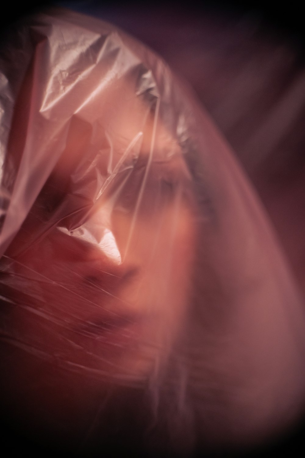una foto sfocata del volto di una donna con una plastica che le copre la testa