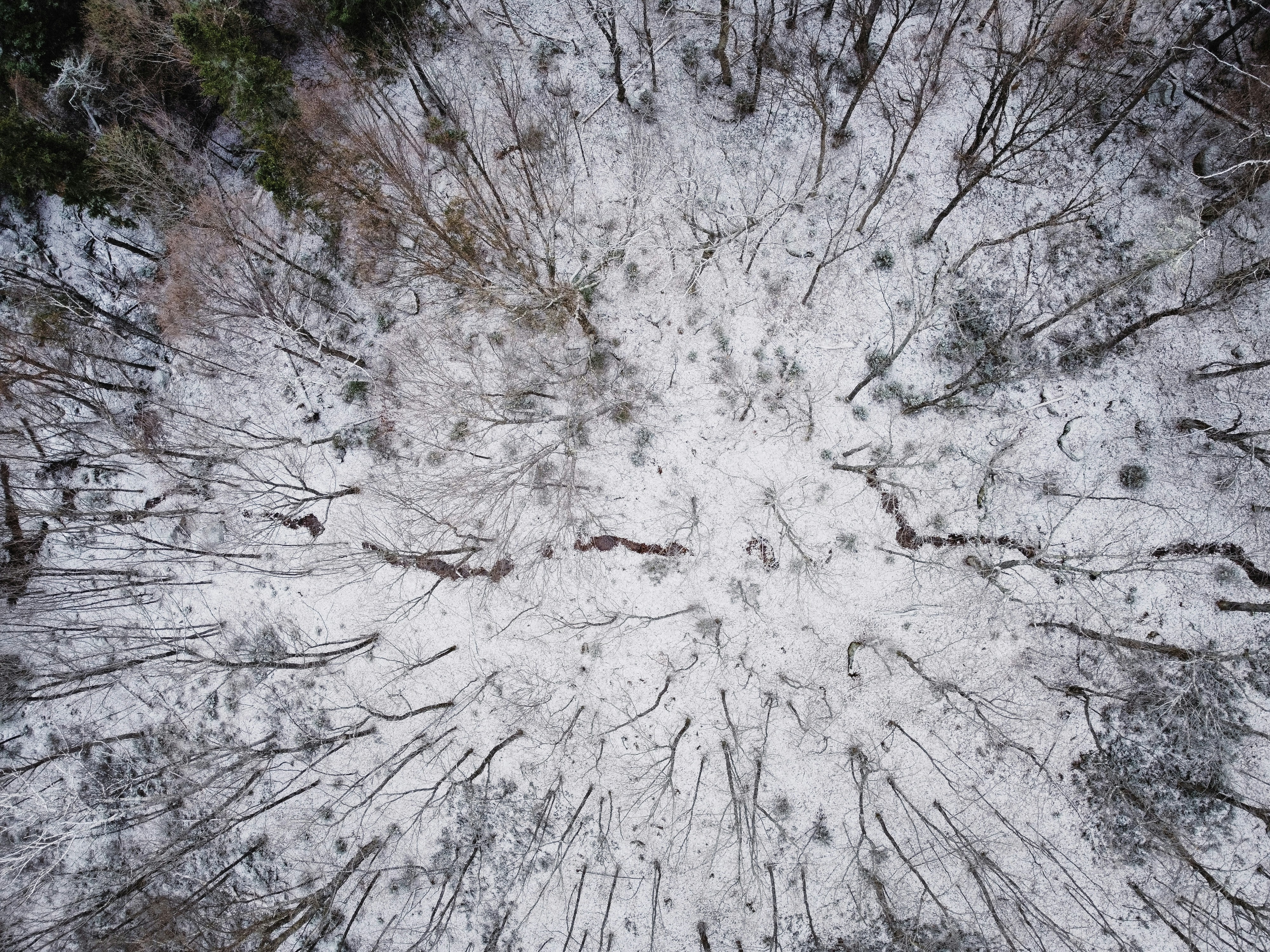Aerial mountain forest 4k, ilustrasi artikel Elevate Your Desktop: Why Aerial Drone Shot Ultra HD 4K Wallpapers Are a Must-Have 1