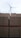 Stacks of brown bricks are neatly arranged on red pallets, with a wind turbine standing tall in the background against a cloudy sky.