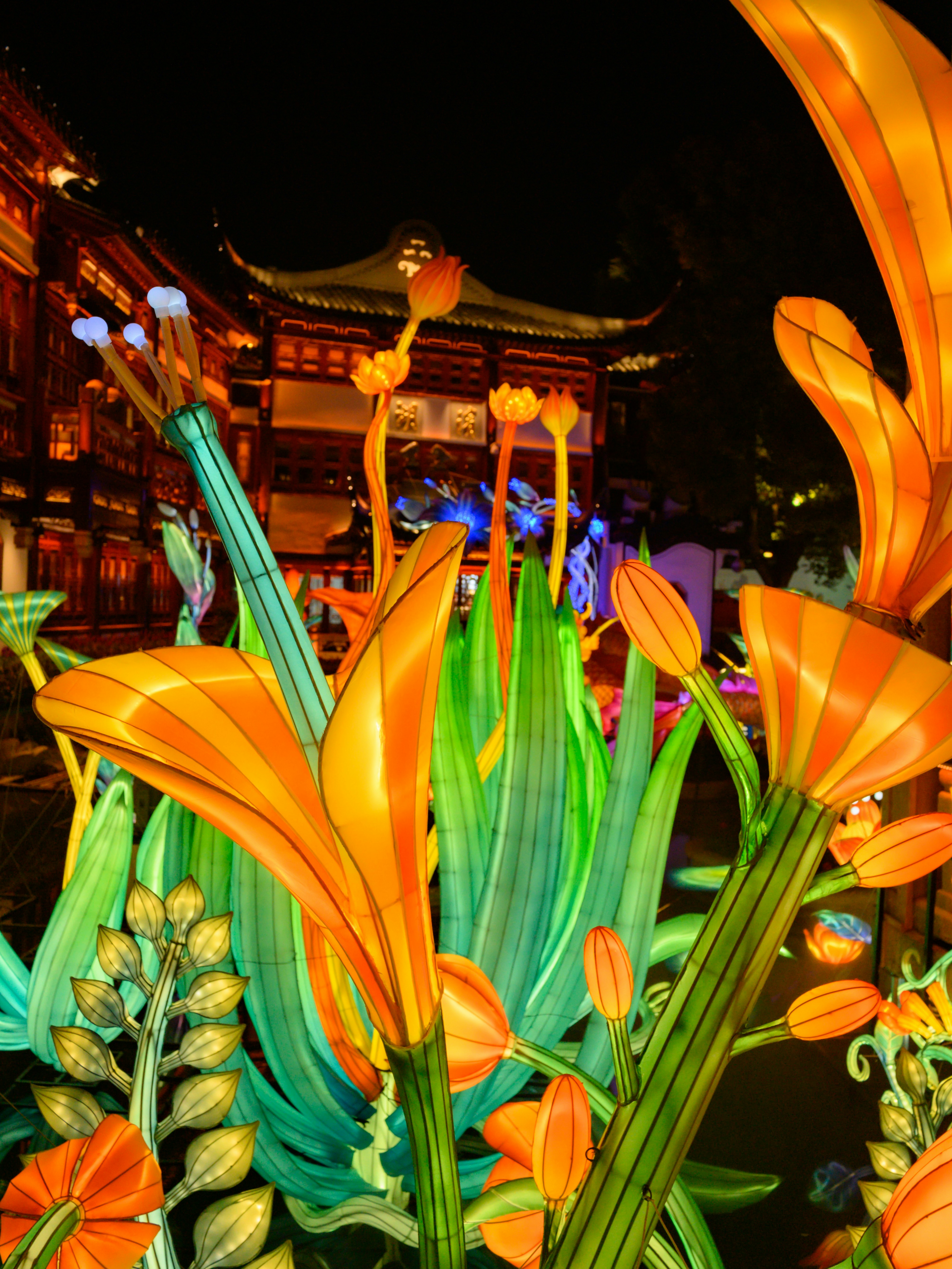 Photo by chenyang1912