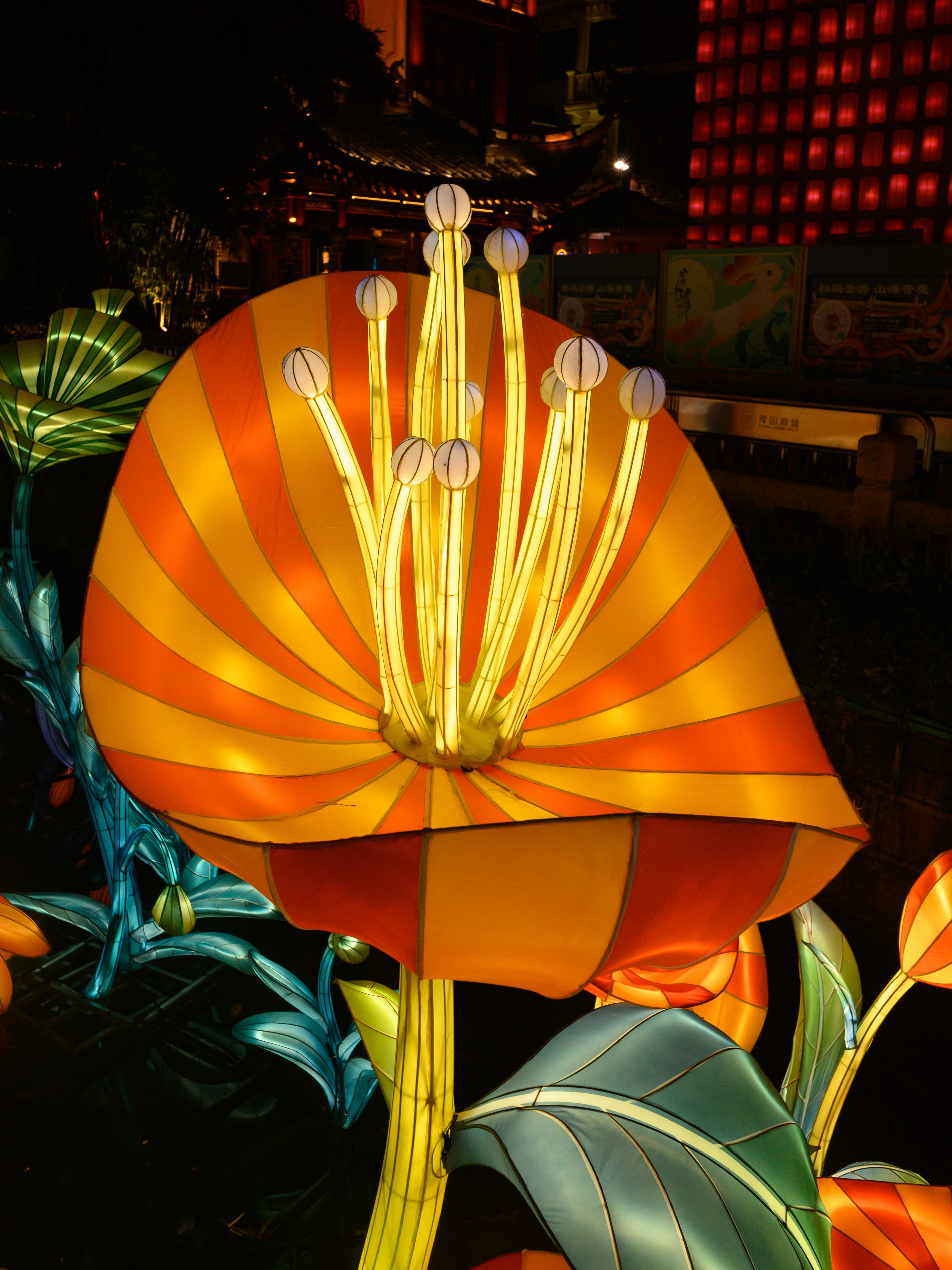 Photo by chenyang1912