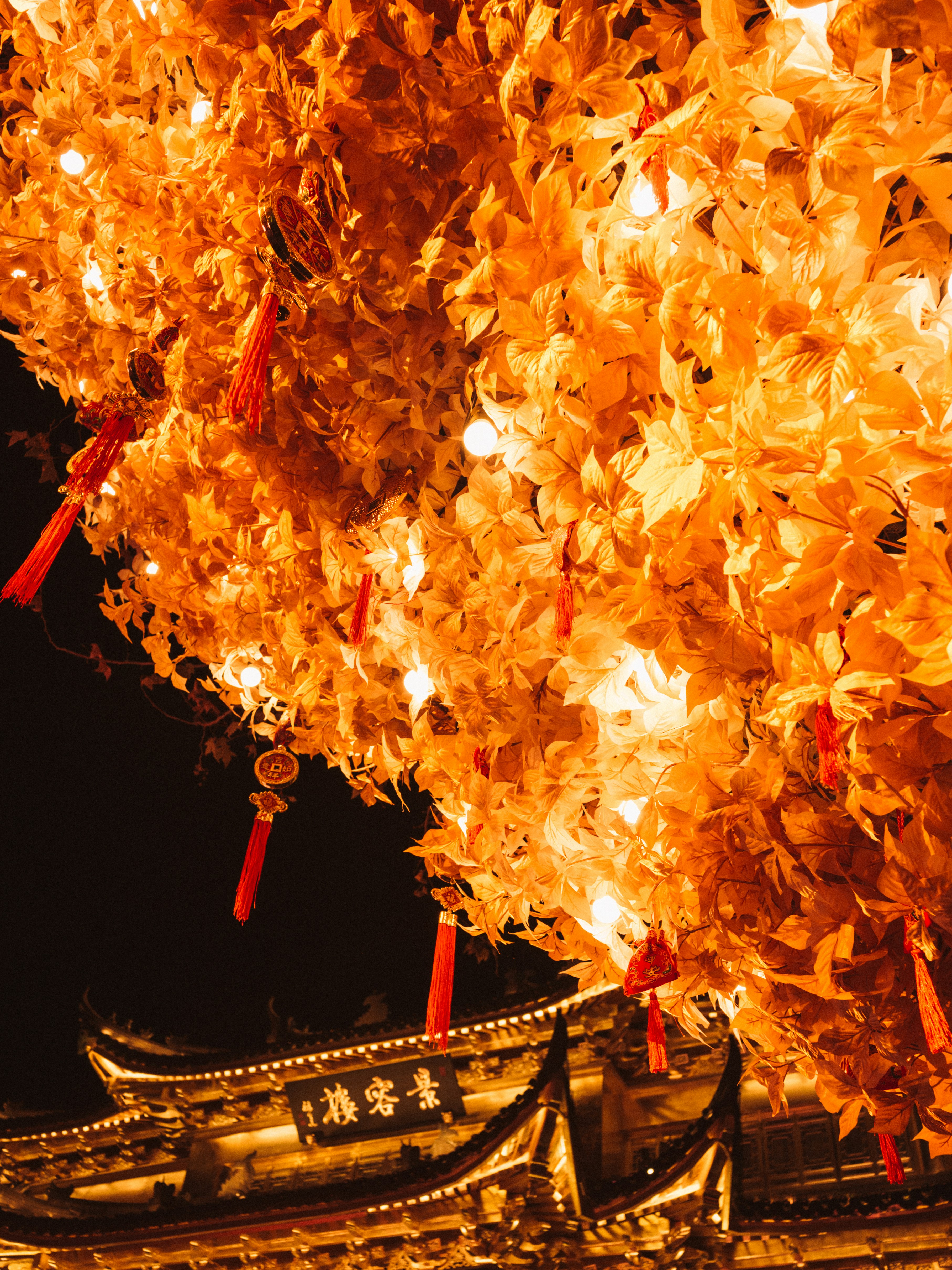 Photo by chenyang1912