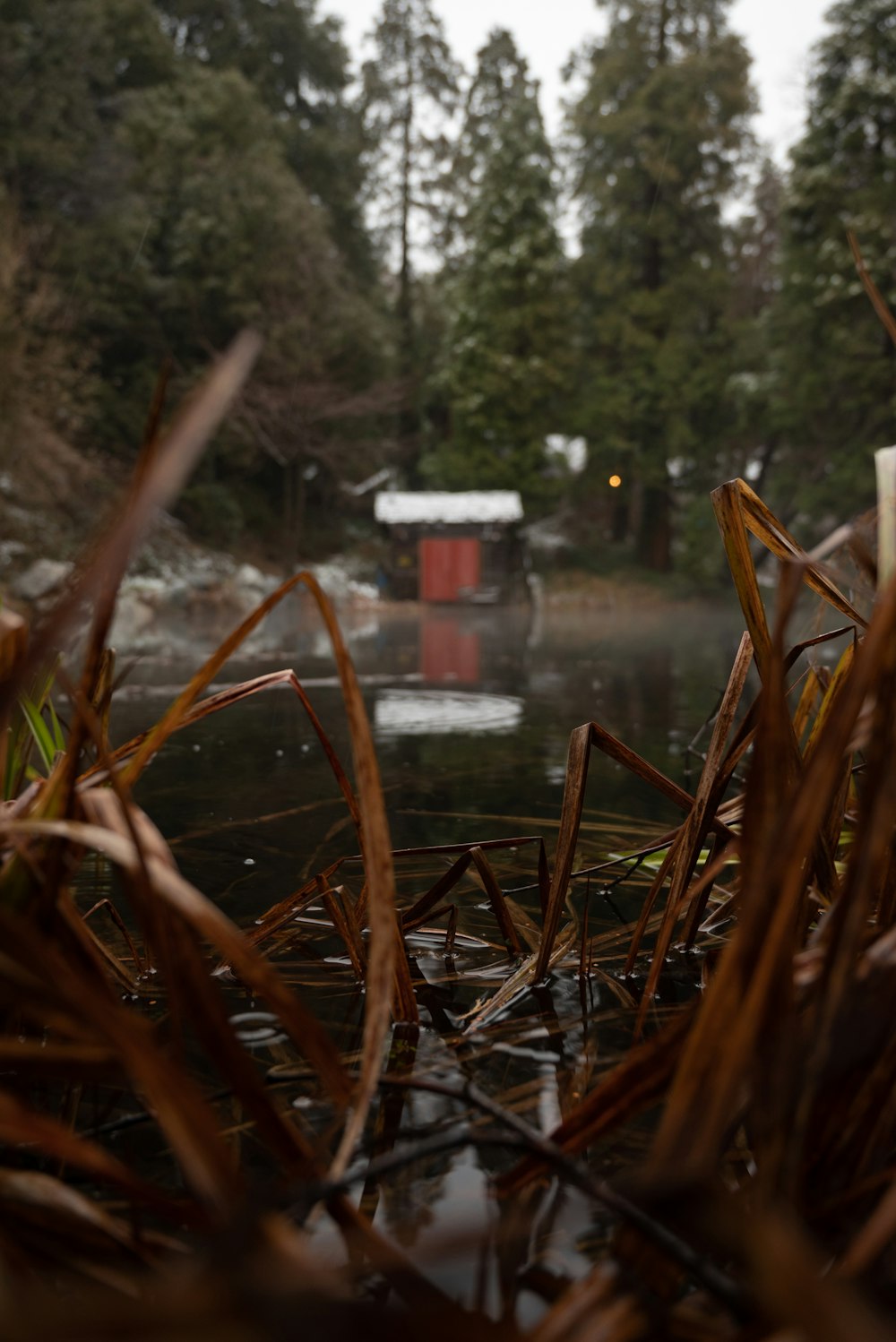 a small red building sitting in the middle of a forest