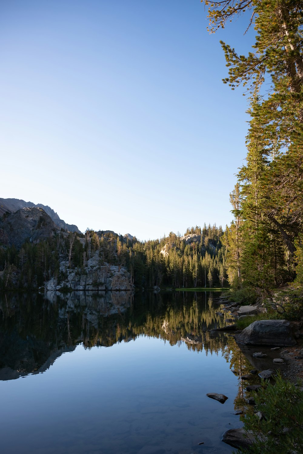 a body of water surrounded by trees and rocks