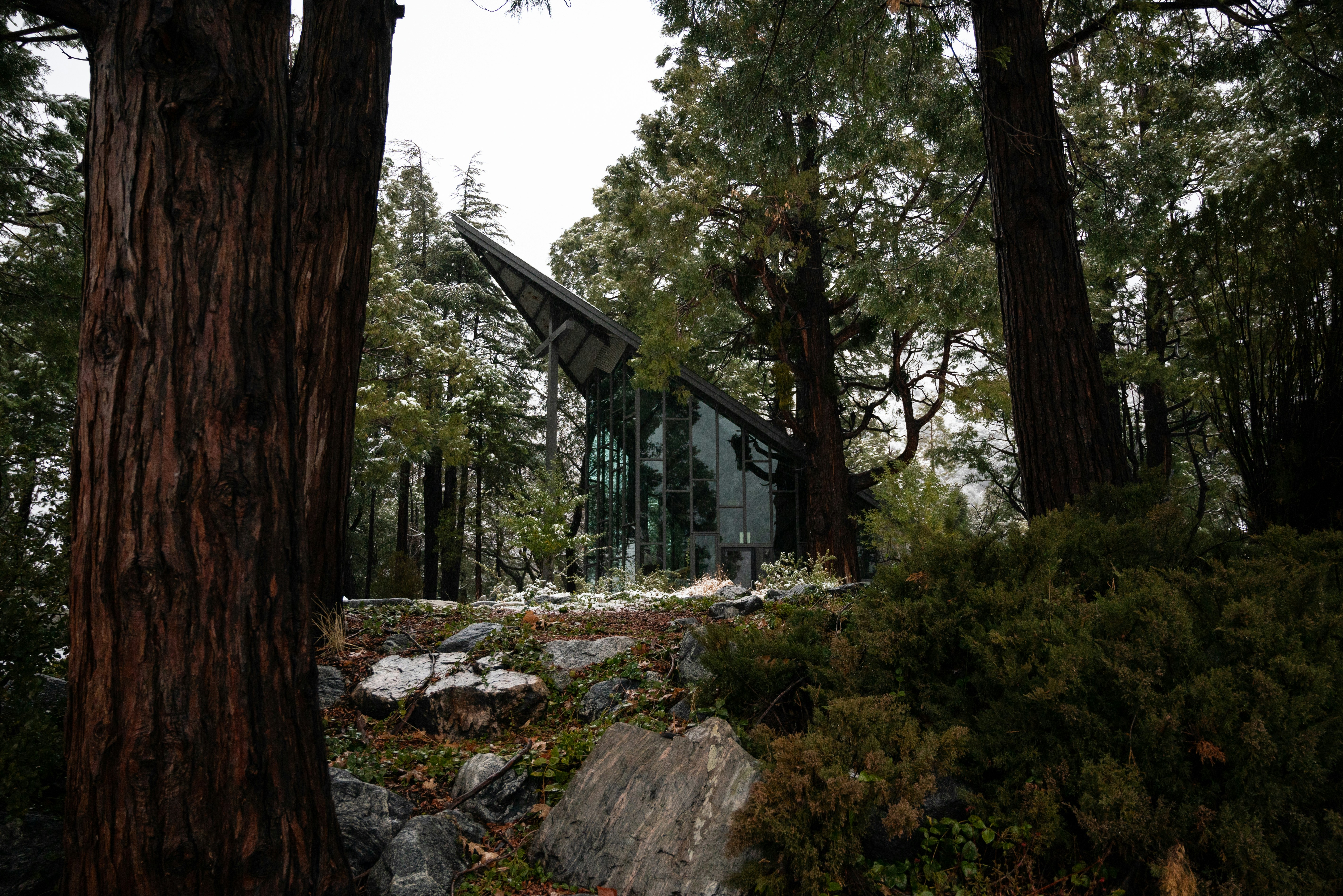 a house in the woods surrounded by trees