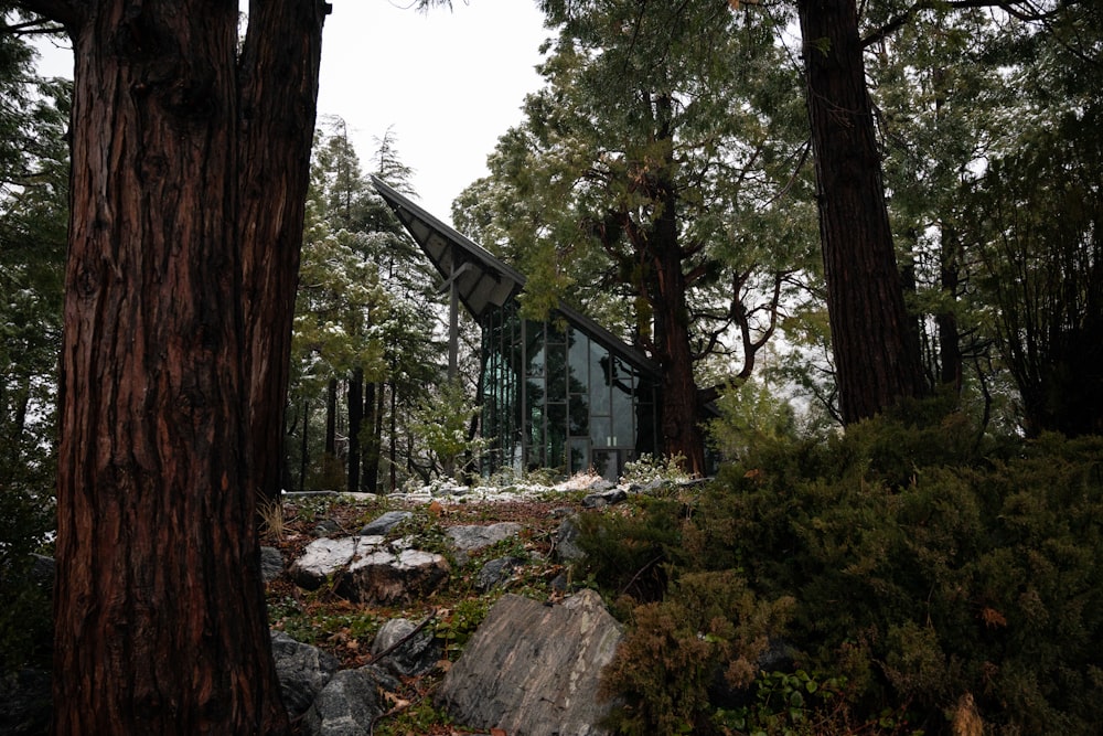 a house in the woods surrounded by trees