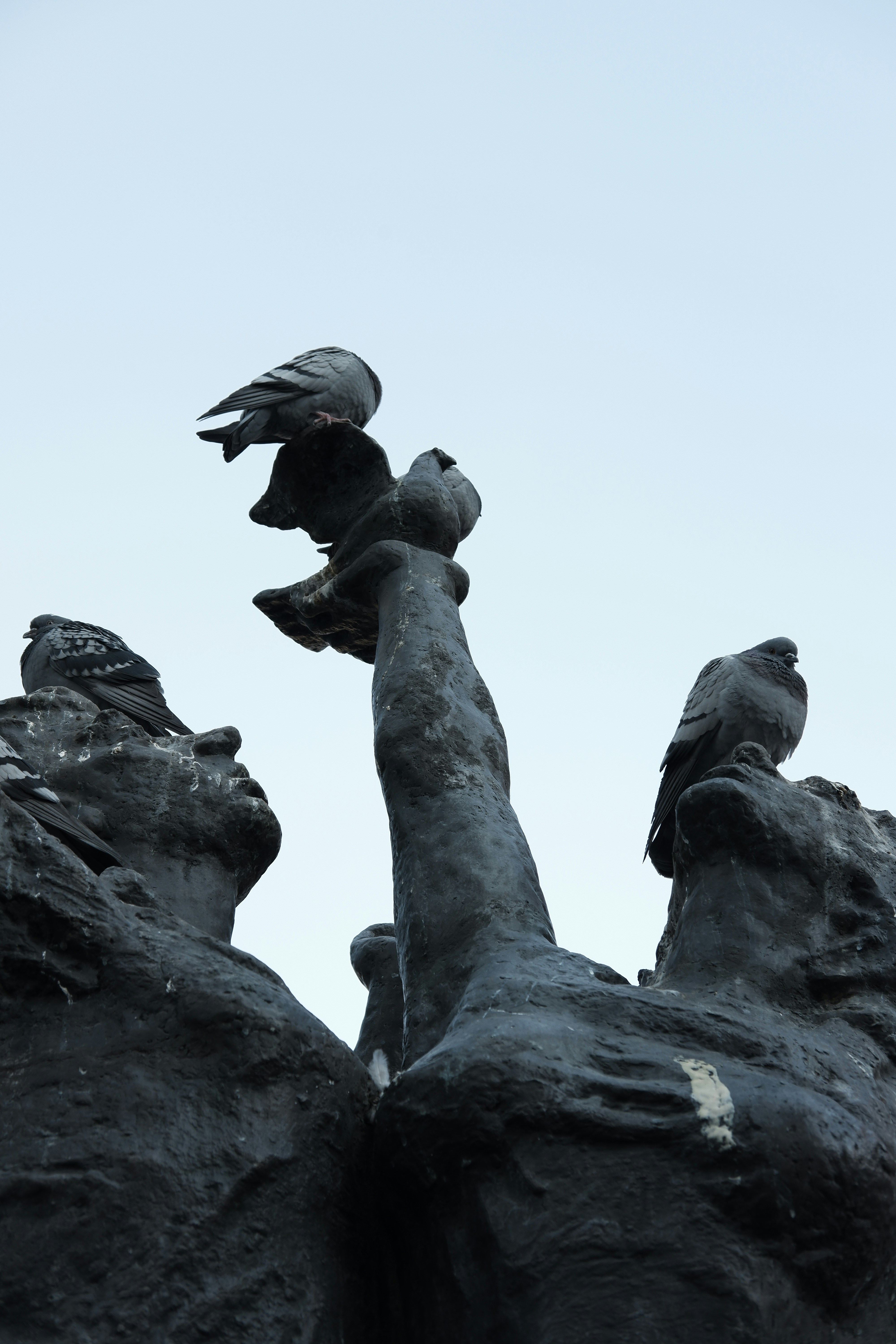 Photo by beyzaayurtkuran