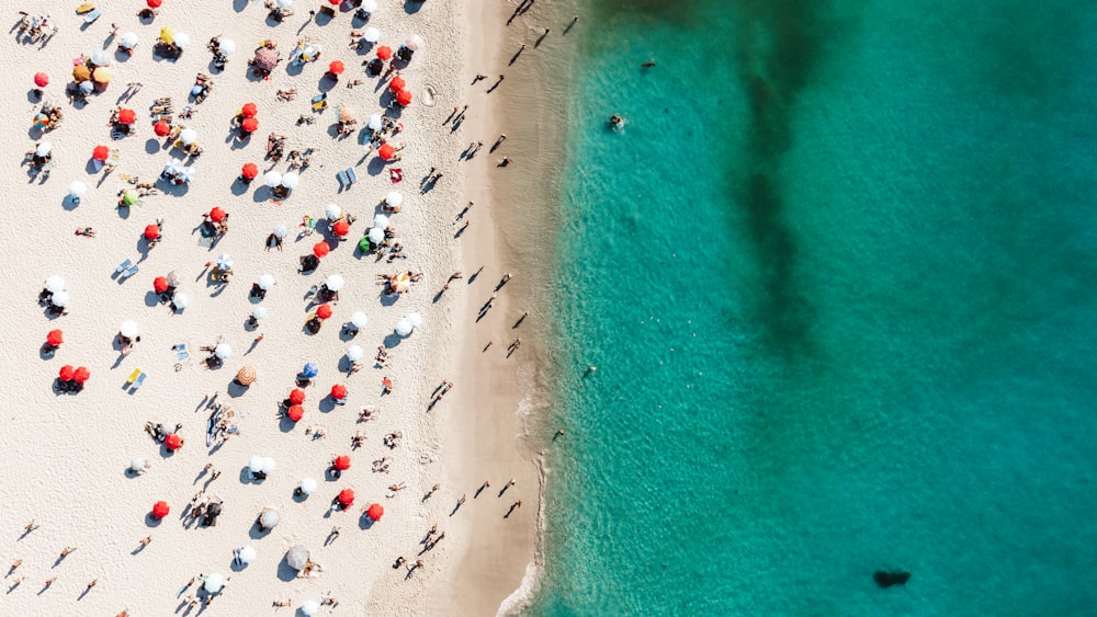 un groupe de personnes debout au sommet d’une plage de sable