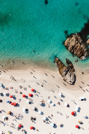 Sharm El Sheikh's sandy shore with colorful beach umbrellas and turquoise sea.