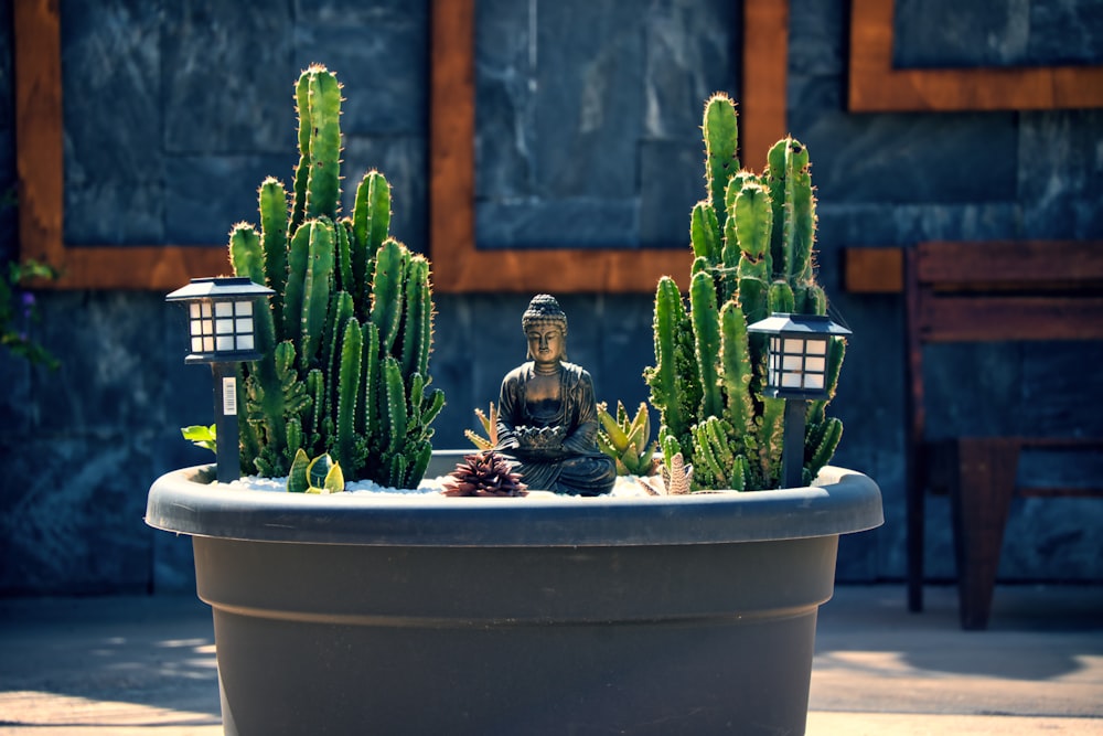 a potted plant with a buddha statue in it