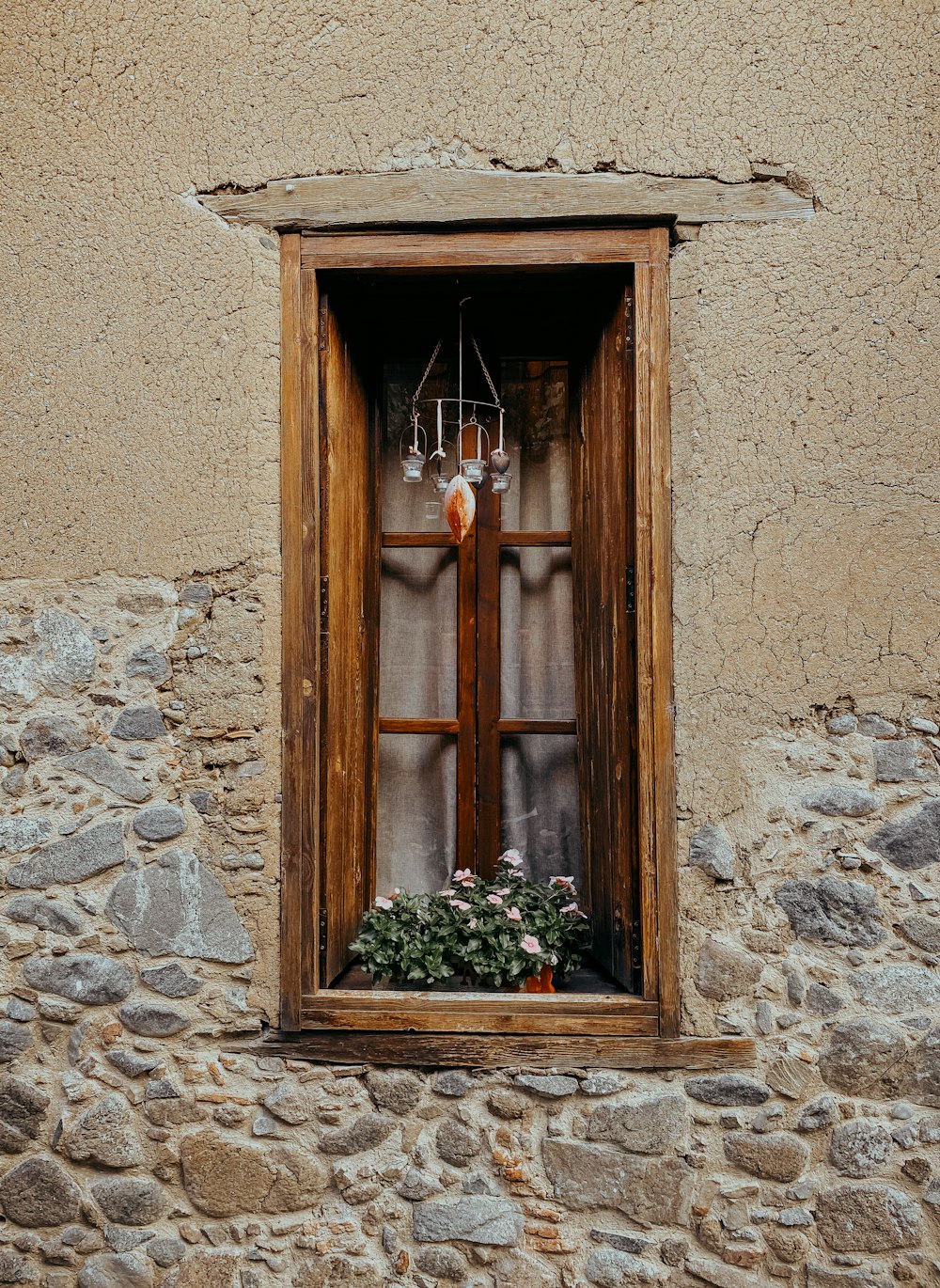 a window that has a potted plant in it