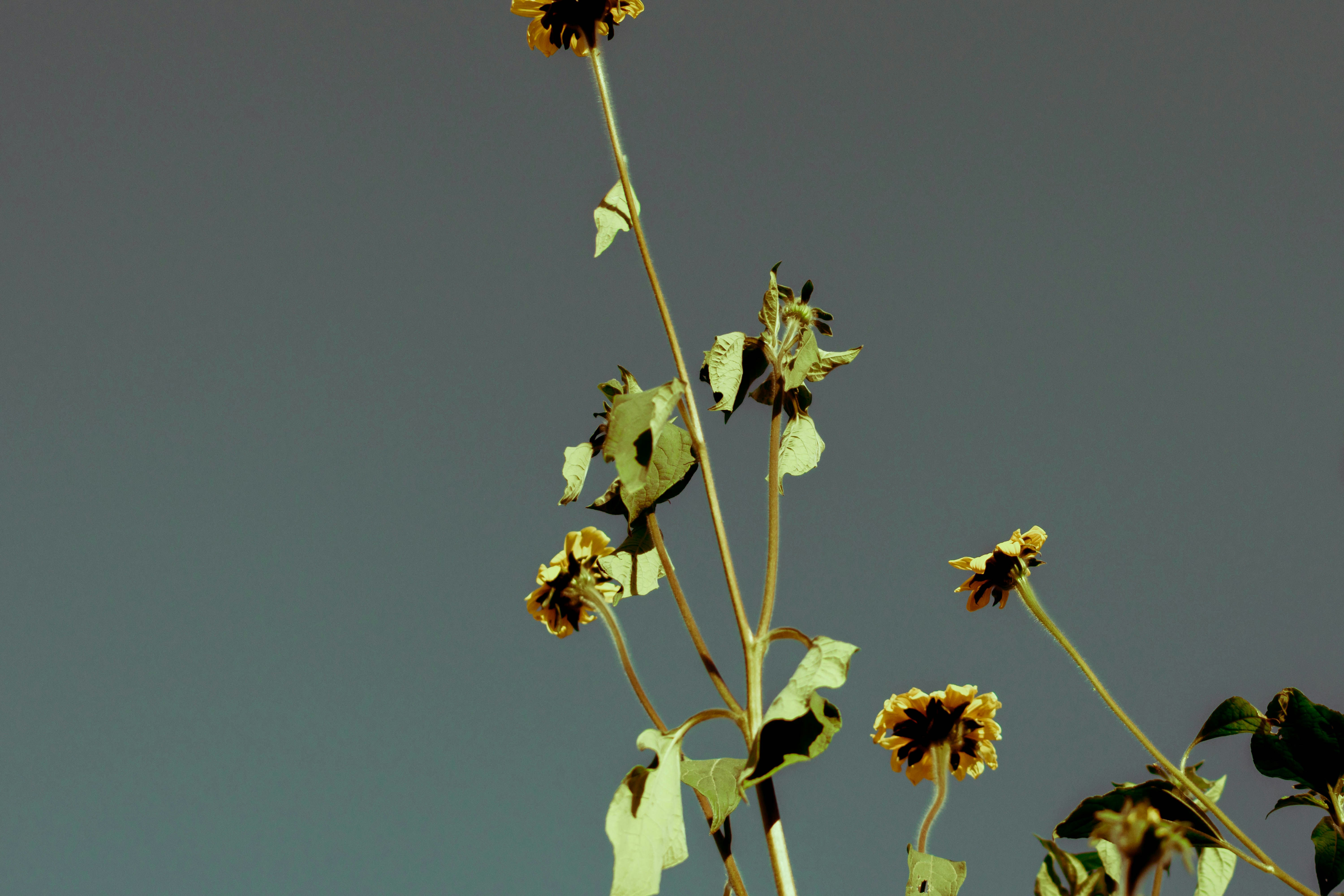 Photo by arlethmaria