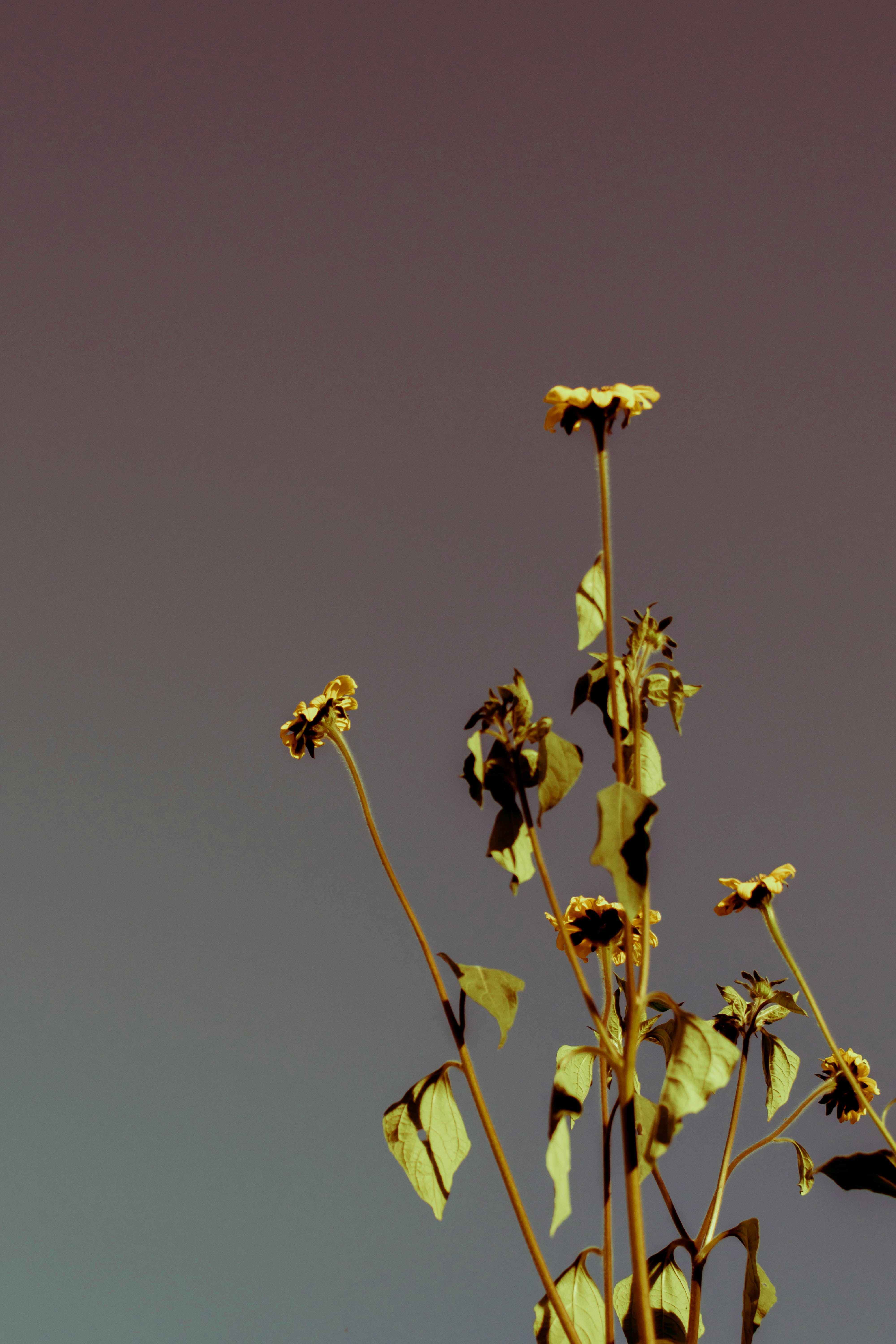 Photo by arlethmaria