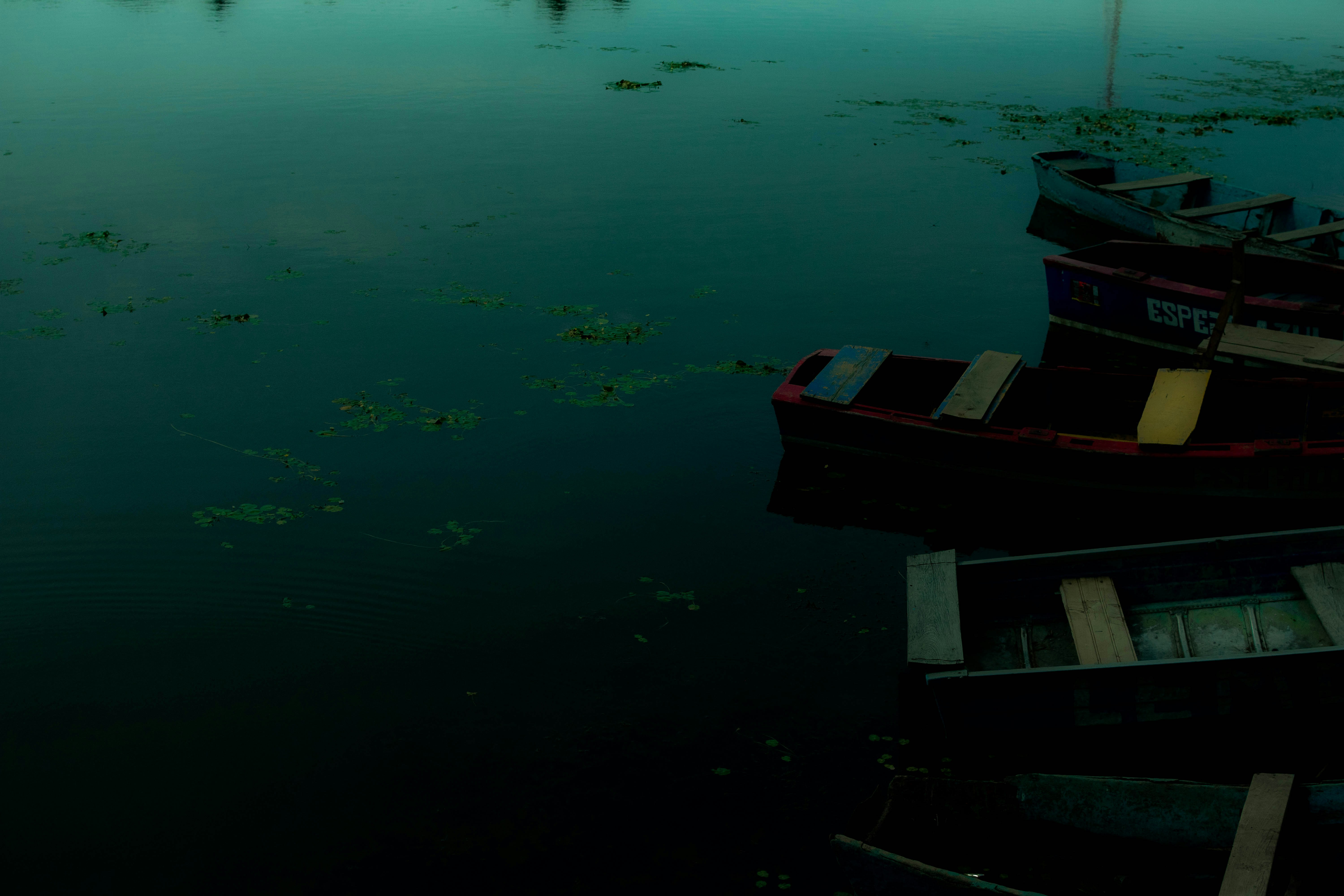 Photo by arlethmaria