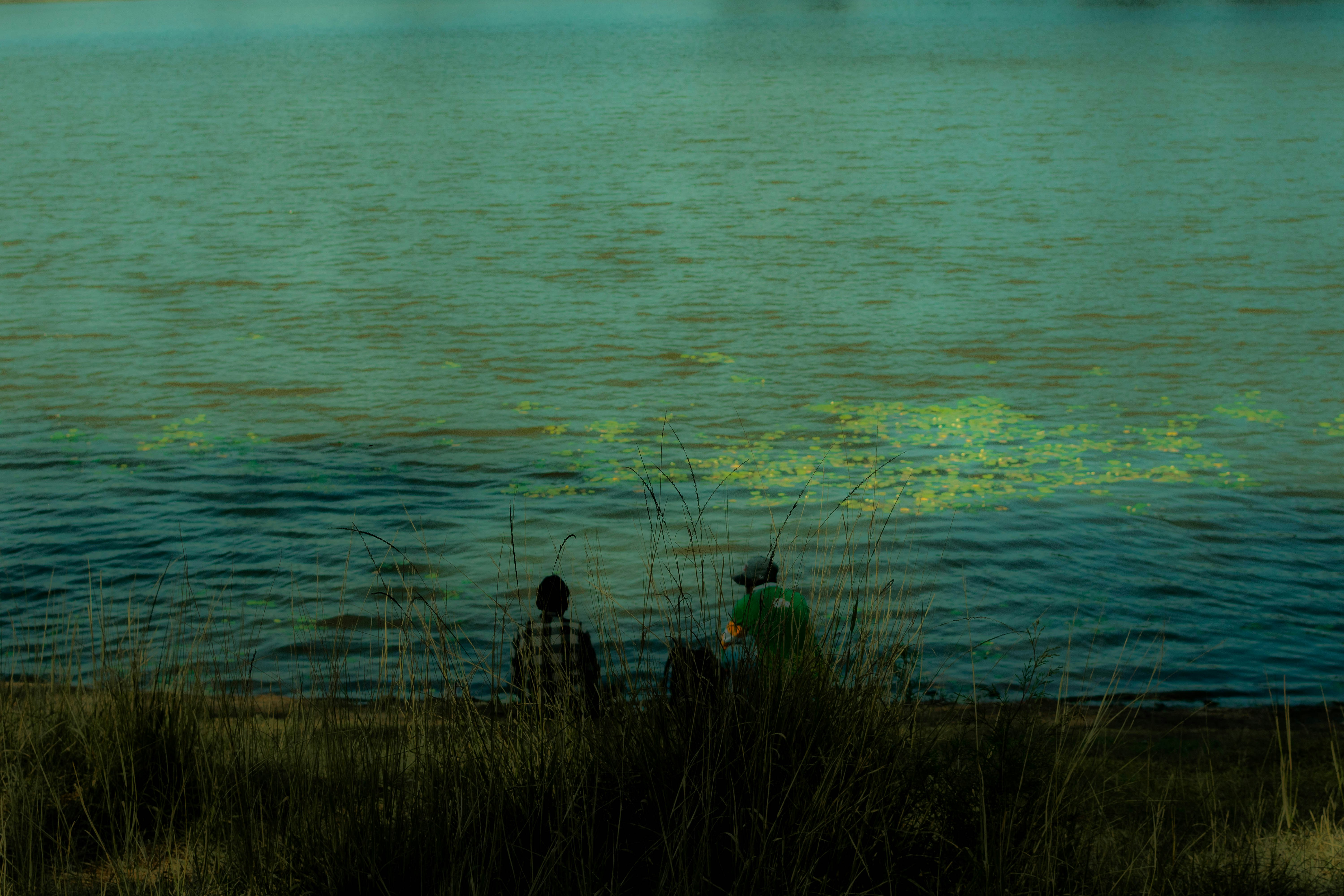 Green + The Grain