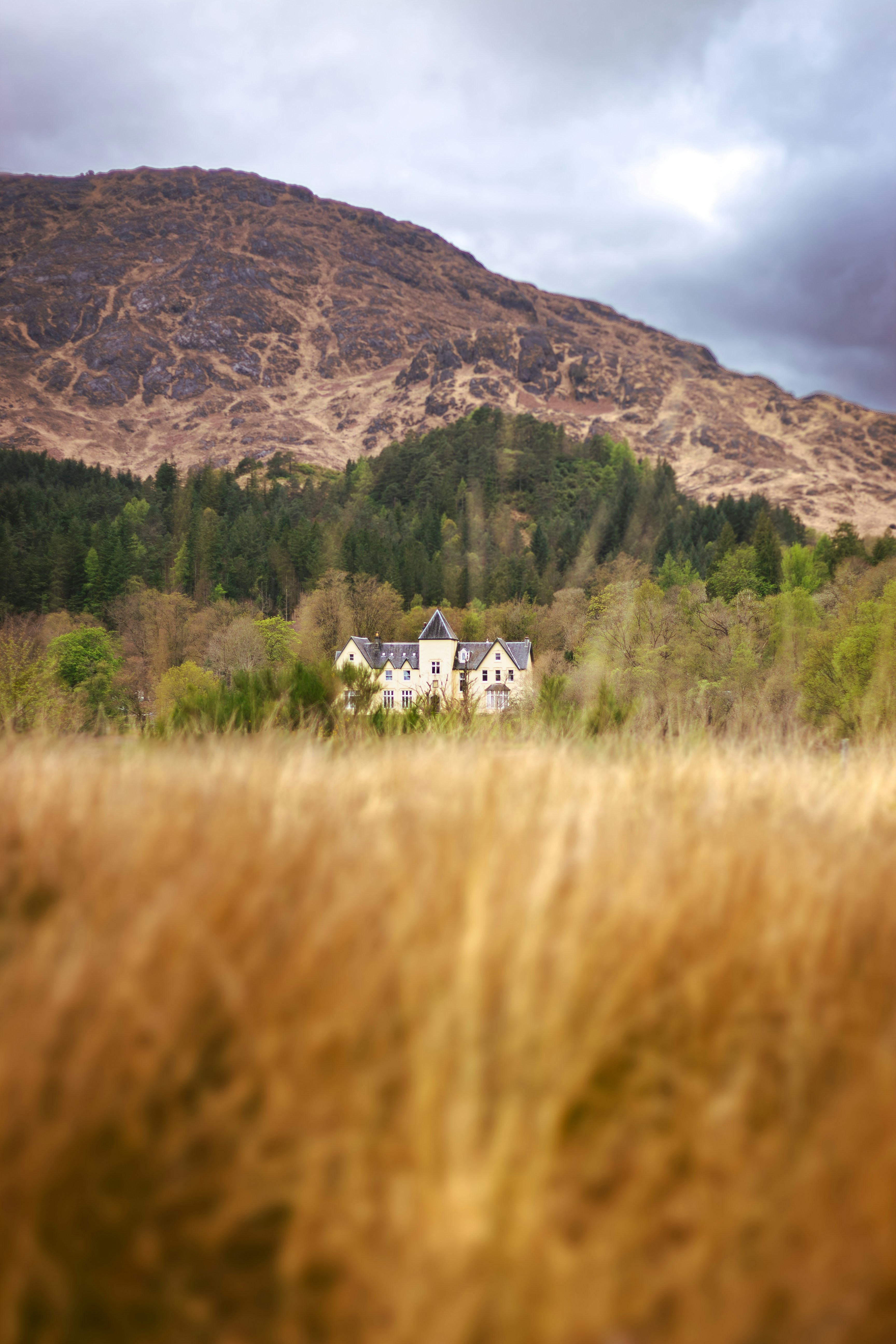a house in the middle of a field with a mountain in the background