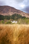 a house in the middle of a field with a mountain in the background
