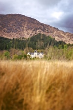a house in the middle of a field with a mountain in the background