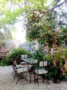a patio with a table and chairs and a tree