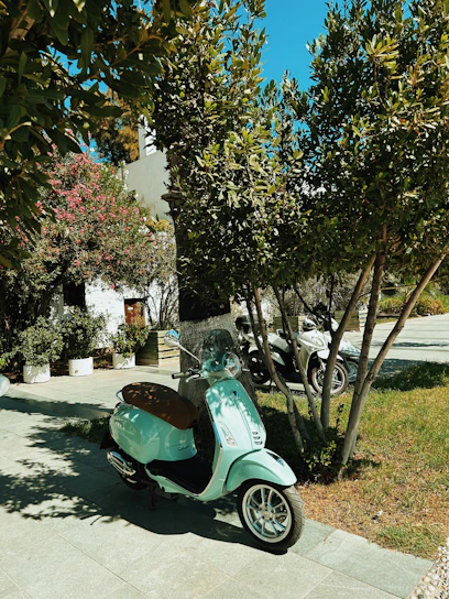 Electric scooter parked on a sunny street with greenery around