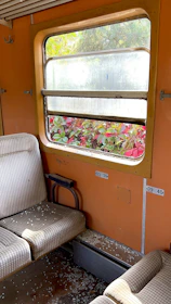Before and after images showing a moquette restored to vibrant color and cleanliness.