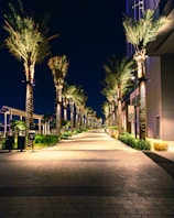 A residential compound walkway lined with palm trees and subtle garden lighting at dusk.