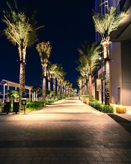 An elegant pathway lined with palm trees and ambient lighting in a Riyadh residential landscape.