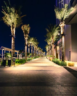 A residential compound walkway lined with palm trees and subtle garden lighting at dusk.