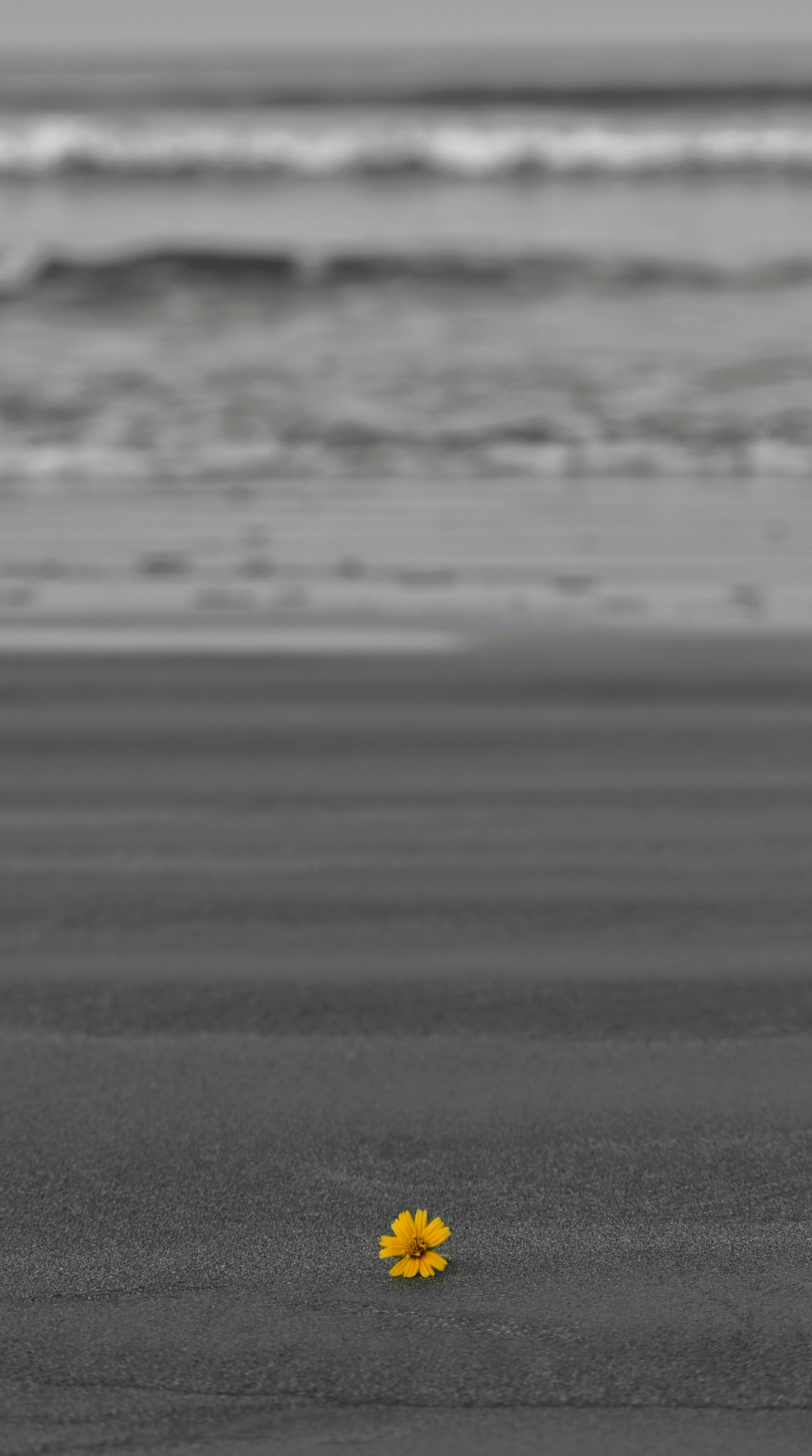 Photo by soorajvarmavk