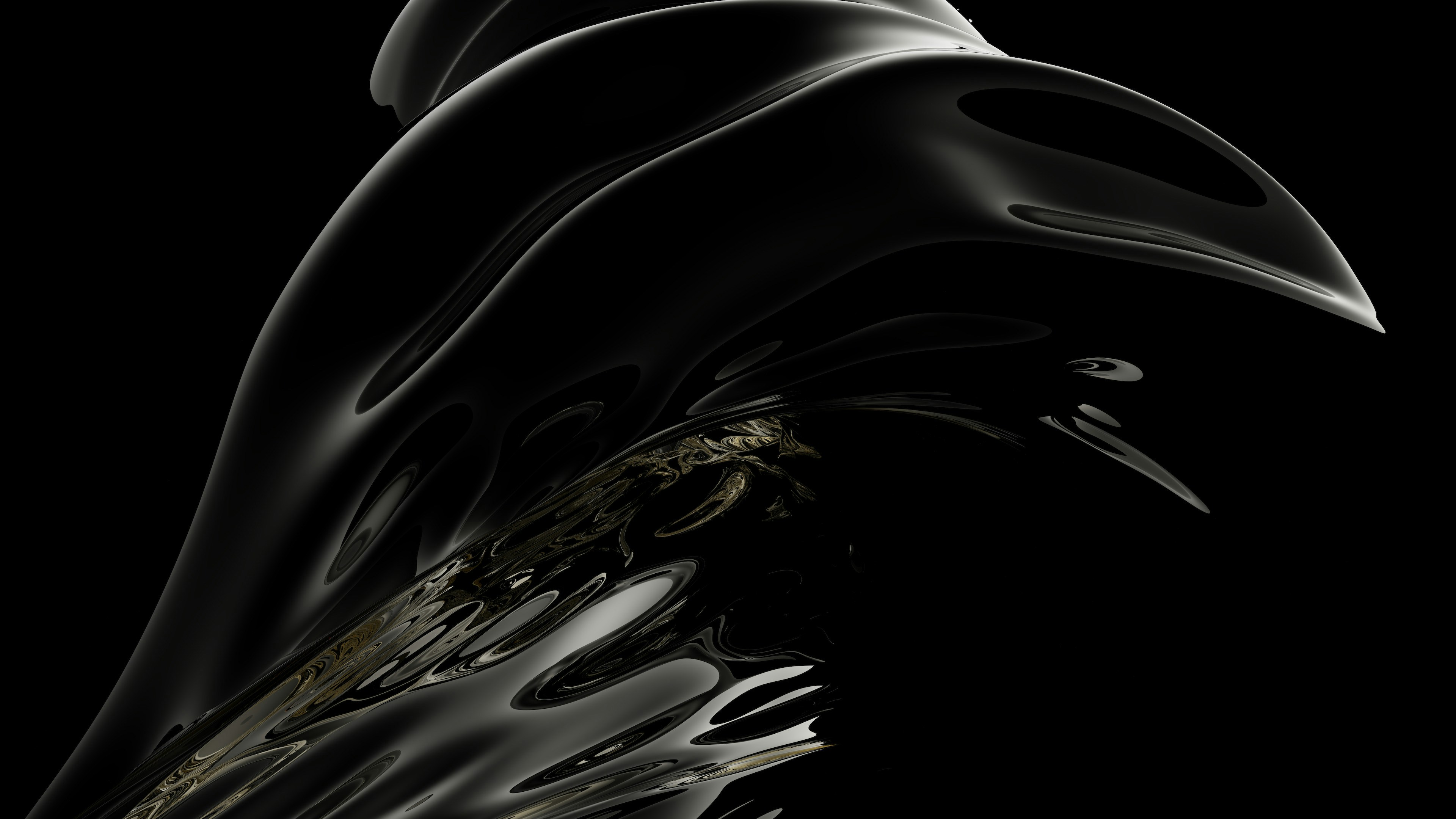 a black and white photo of a bird's head