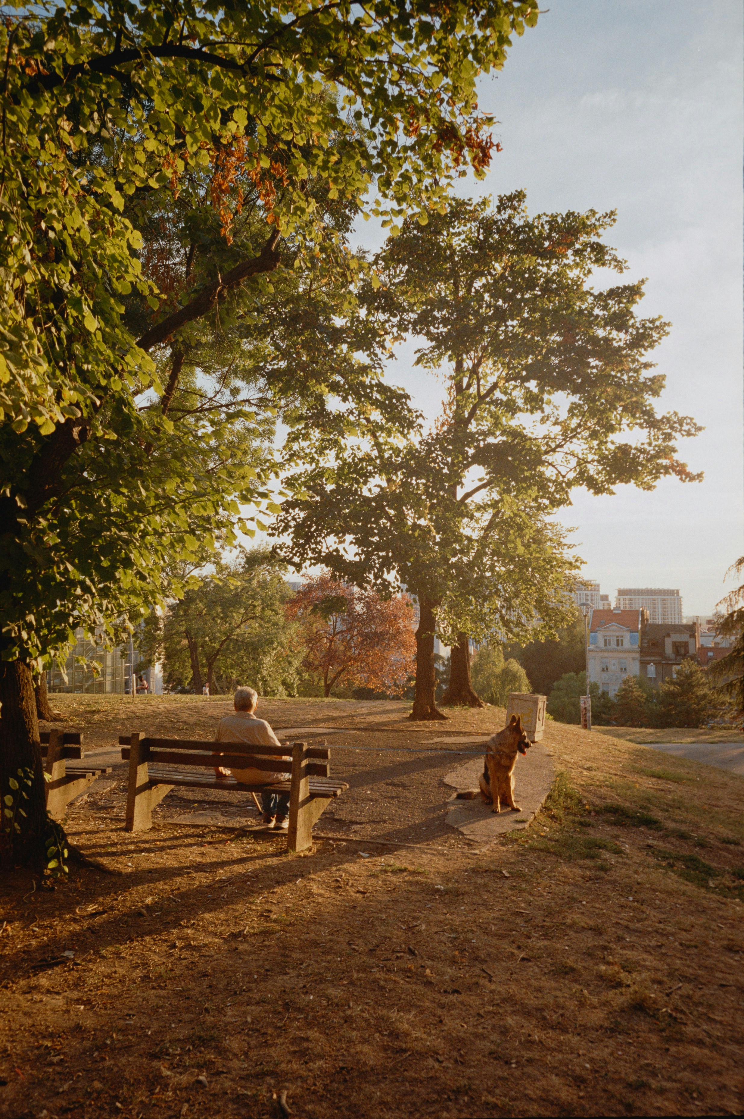 a couple of people sitting on top of a wooden bench