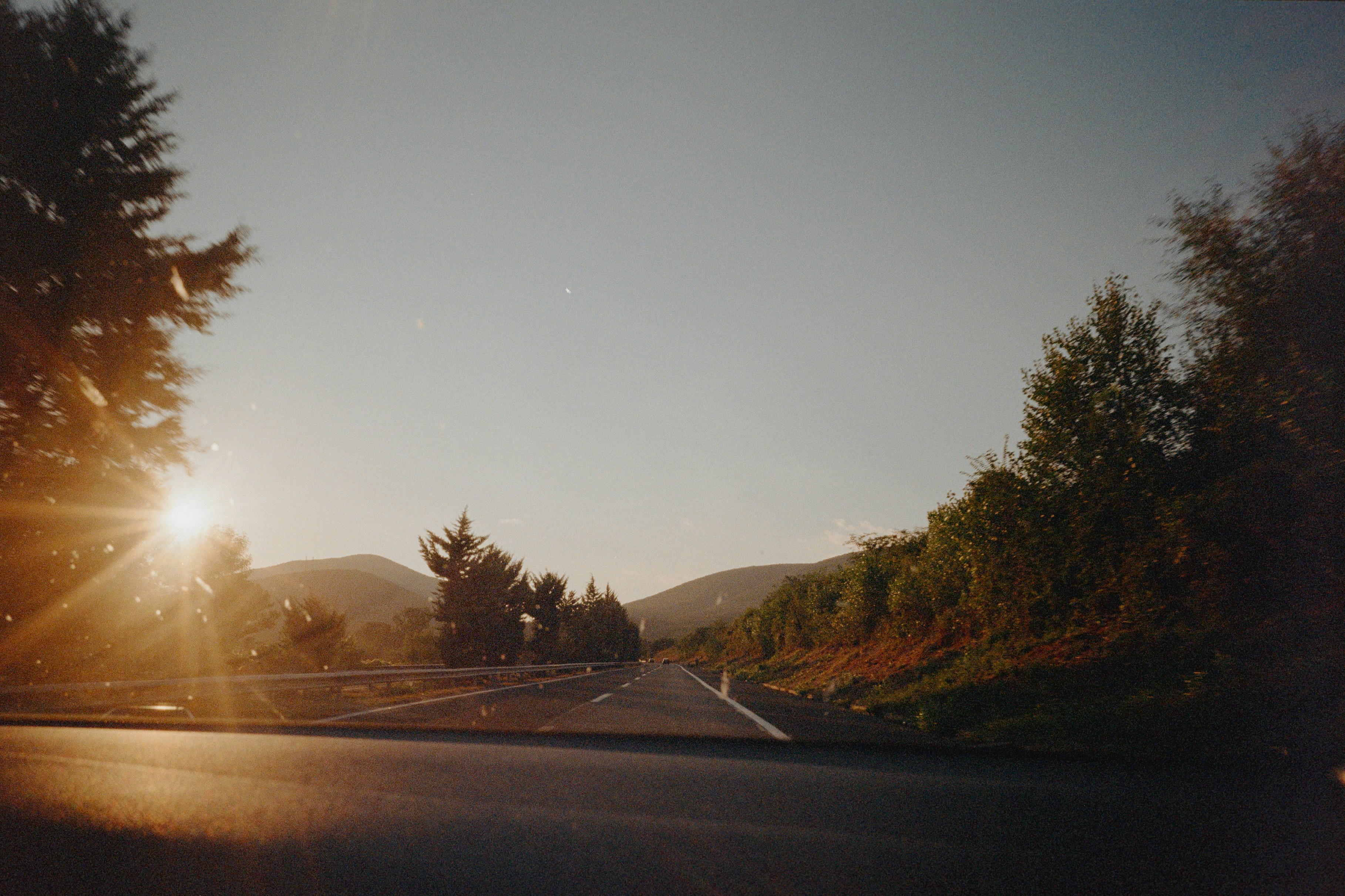 Photo by snakeytales