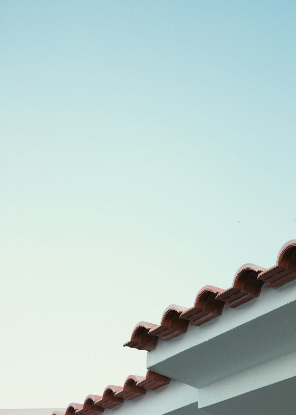 a bird is perched on the roof of a building