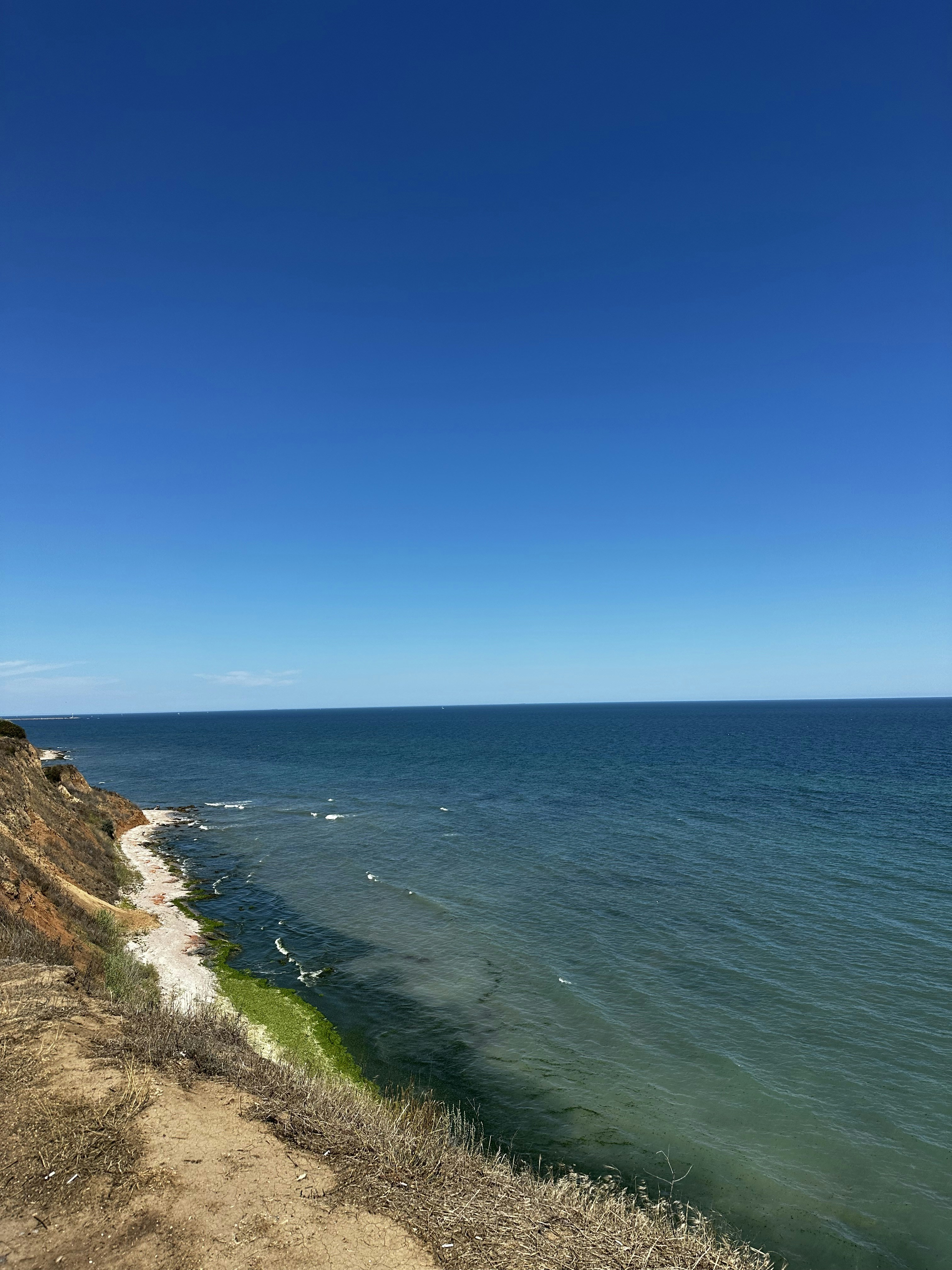 Photo by joanajojoana