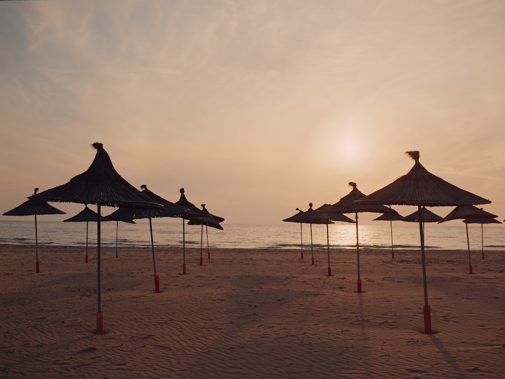 a bunch of umbrellas that are on a beach