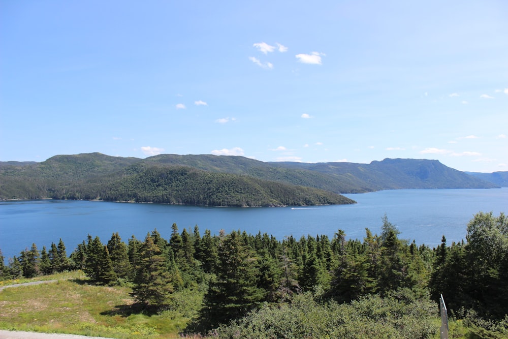 una vista panoramica su un lago circondato da alberi