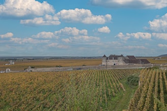 a large field with a house in the middle of it