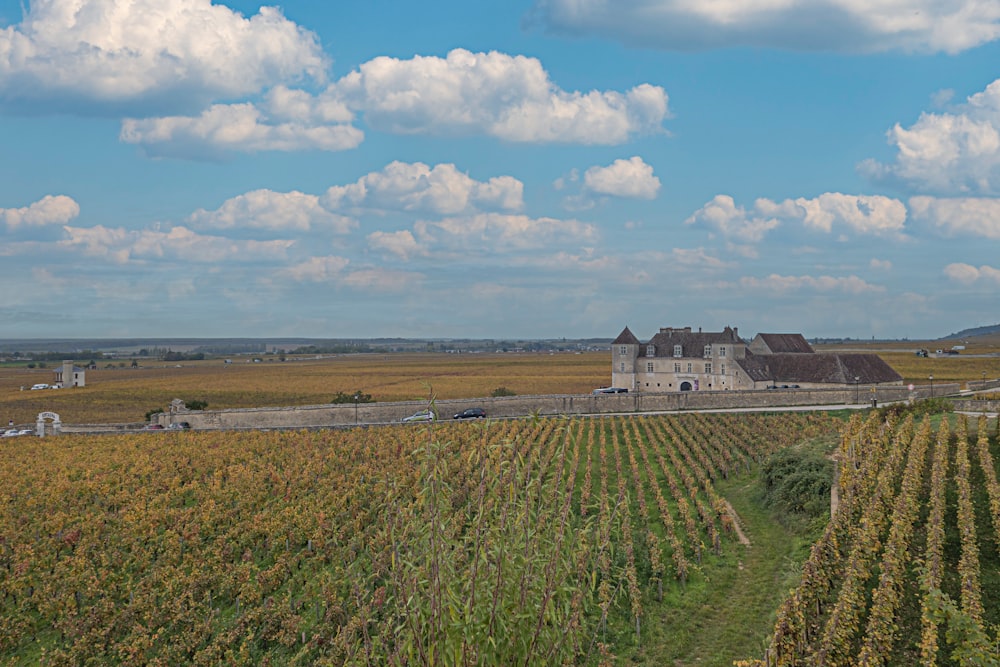 a large field with a house in the middle of it