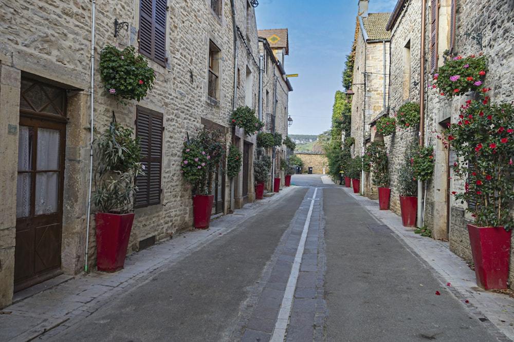 a narrow street lined with potted plants