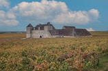A historic stone building, resembling a chateau, sits in the middle of expansive vineyards under a partly cloudy sky. The building features multiple pitched roofs and numerous windows. Surrounding the structure, rows of grapevines stretch across the landscape, creating a patchwork of green and brown hues.