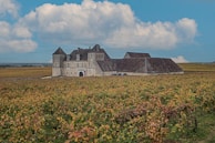 A historic stone building, resembling a chateau, sits in the middle of expansive vineyards under a partly cloudy sky. The building features multiple pitched roofs and numerous windows. Surrounding the structure, rows of grapevines stretch across the landscape, creating a patchwork of green and brown hues.