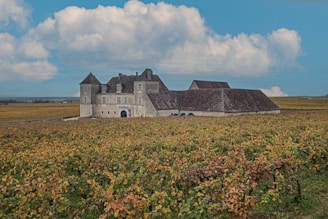 A historic stone building, resembling a chateau, sits in the middle of expansive vineyards under a partly cloudy sky. The building features multiple pitched roofs and numerous windows. Surrounding the structure, rows of grapevines stretch across the landscape, creating a patchwork of green and brown hues.