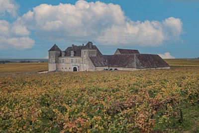 A historic stone building, resembling a chateau, sits in the middle of expansive vineyards under a partly cloudy sky. The building features multiple pitched roofs and numerous windows. Surrounding the structure, rows of grapevines stretch across the landscape, creating a patchwork of green and brown hues.