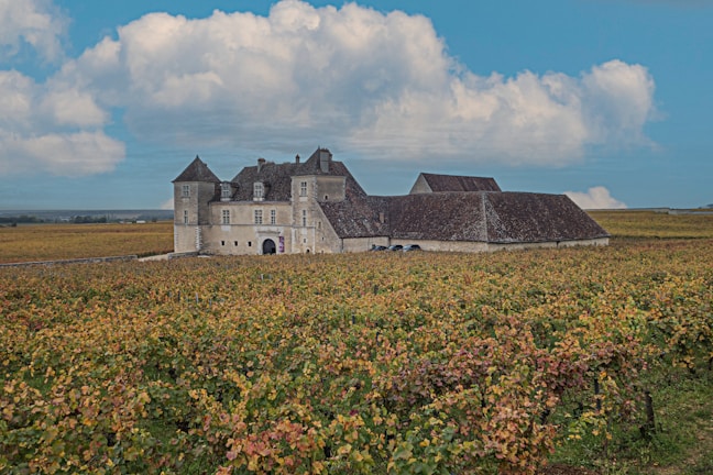 A historic stone building, resembling a chateau, sits in the middle of expansive vineyards under a partly cloudy sky. The building features multiple pitched roofs and numerous windows. Surrounding the structure, rows of grapevines stretch across the landscape, creating a patchwork of green and brown hues.