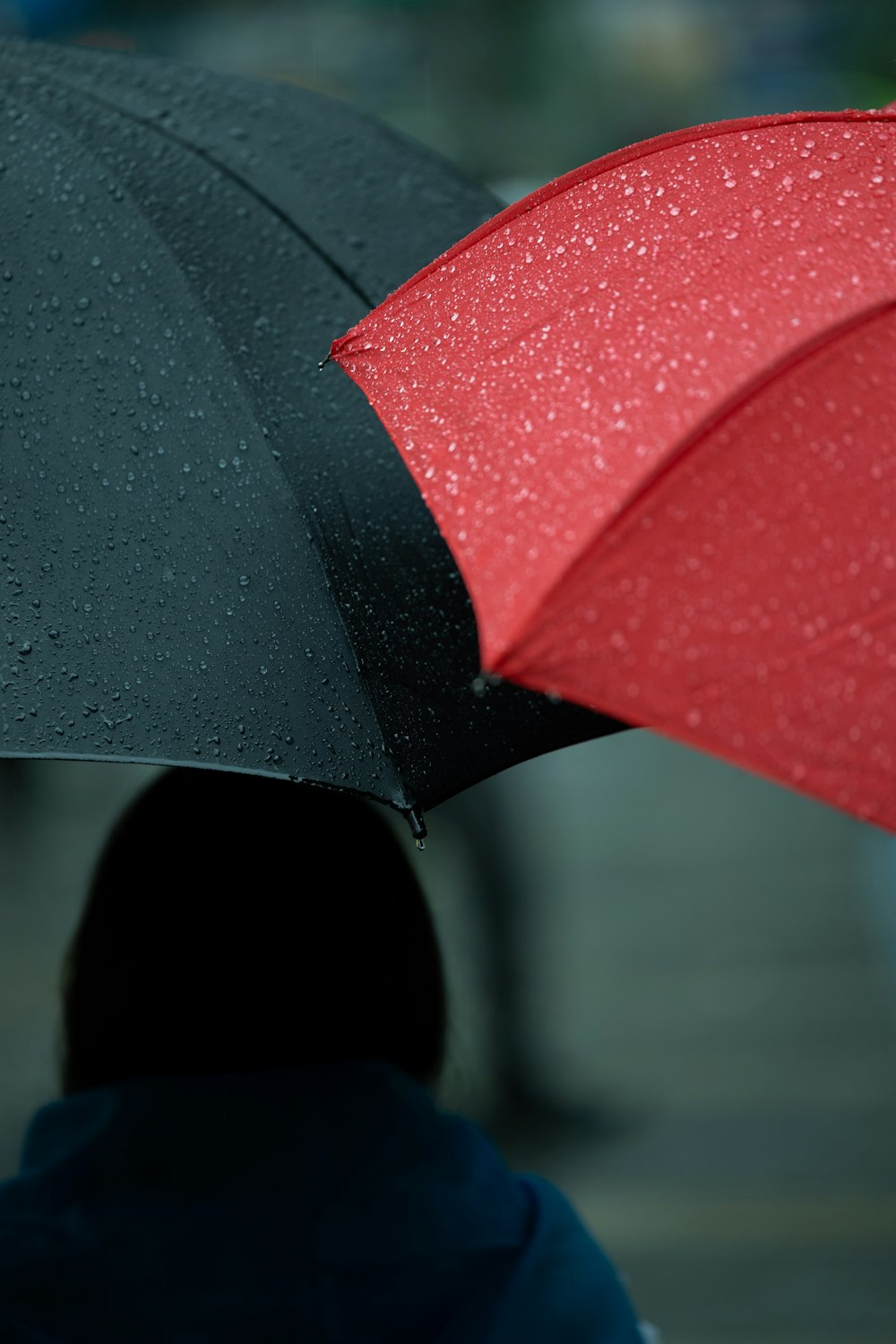 a person holding a red and black umbrella