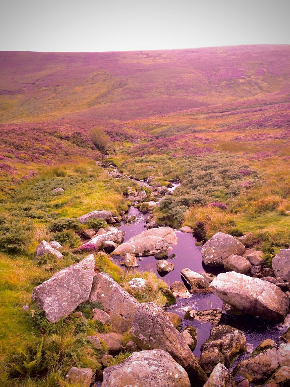 a stream running through a lush green hillside