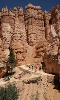 Visitors hiking along a sunlit trail surrounded by fiery orange sandstone cliffs.